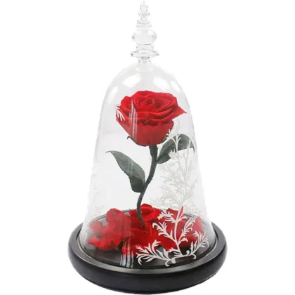 Preserved Rose with Fresh Stem: Beauty and the Beast Theme