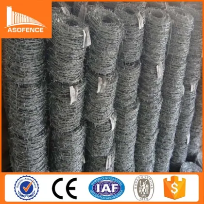double main wire twist stainless steel razor barbed wire