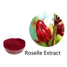 Buy online active ingredients Roselle Extract for sale