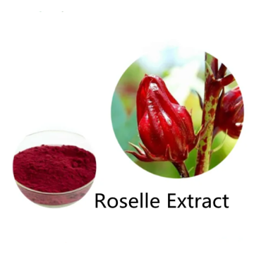 Buy online active ingredients Roselle Extract for sale