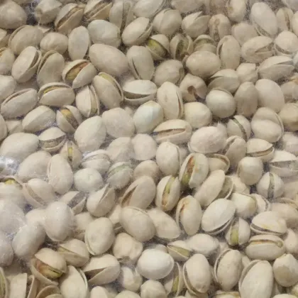 GEKO Food Factory - Wholesale Natural Pistachios with Rich Flavor and Nutrition