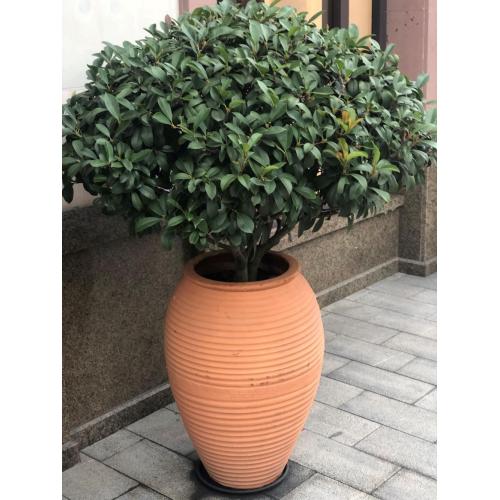 Bulk Acquista vasi in terracotta con fori di drenaggio