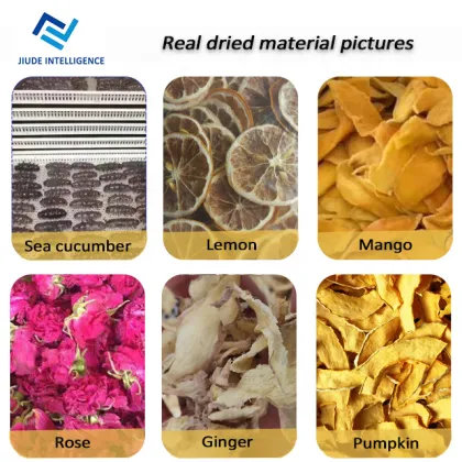 2024 hot selling low price crayfish drying machine crayfish Dehydration machine crayfish dryer