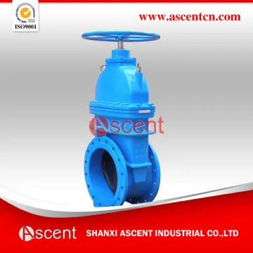 Straight Through Gate Valve