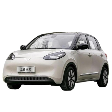 Wuling Bingo EV 2023: 203km to 333km Range Chinese New Energy Vehicle
