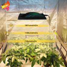 Quantum Board Led Grow Light 320W Indoor