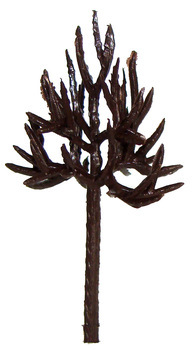 dealer model,new model tree,architectural model tree