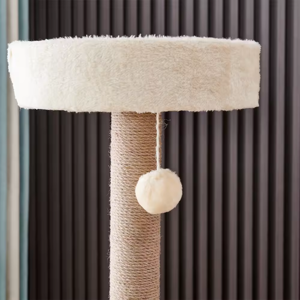 cat scratcher