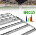 Planta de hierbas de invernadero LED de alta calidad 1000W