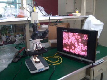 Live Blood Anaylse Microscope in Darkfield