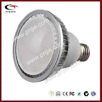 CREE LED PAR38 With LED Spotlights