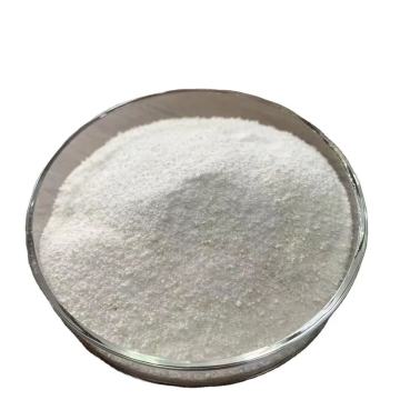 Rice Protein: A Natural Ingredient for Pet Foods