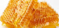 vendere confezioni sfuse 100% miele di colza naturale