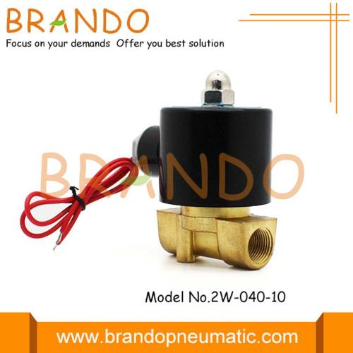 220v AC Su Solenoid Valfı 2W040-10