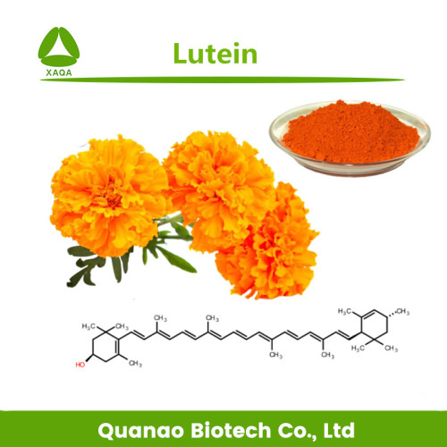 Astaxanthin Powder Lutein 80% HPLC Extract Marigold Flower Powder Manufactory