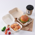 Compostable Pulp Takeaway Box for Burger, Bento & Dessert