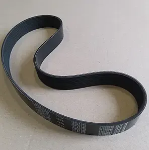 Ploy V Belt WP7NG240E51 - 10PK1775 (1000333365)