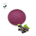 High Quality Blackcurrant Extract