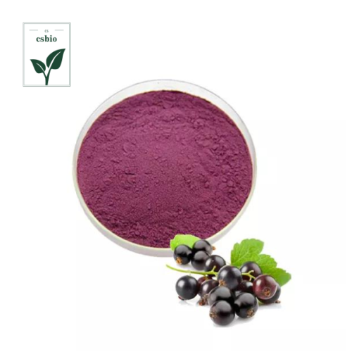 High Quality Blackcurrant Extract