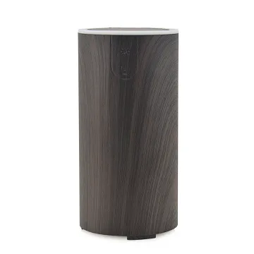 Mini Humidifier Spray Aromatherapy for Car