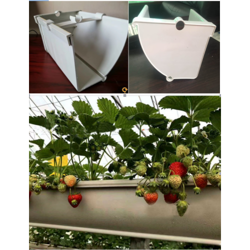 Saluran Hydroponics Strawberry Gully Komersial