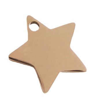 Cute Mini Star Dog Tag - Yiwu Aceon Stainless Steel Kitten Puppy Anti-Lost Collar Nameplate