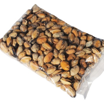 Frozen Green Lipped Mussel Meat