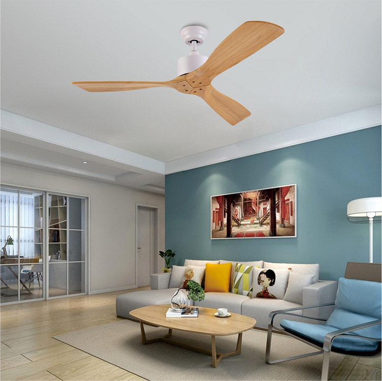 Electric Contemporary Ceiling FansofApplication Patio Ceiling Fan