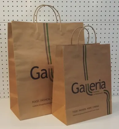 custorm print paper bag