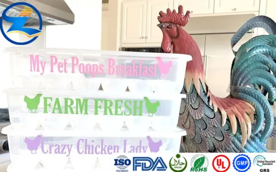 Clear Transparent ColorThermoformable PET Films