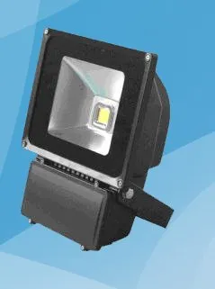 Outdoor Led Flood Lights Can Resist Higher Anti-static 70w