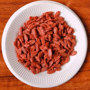 Bacche di goji di alta qualità