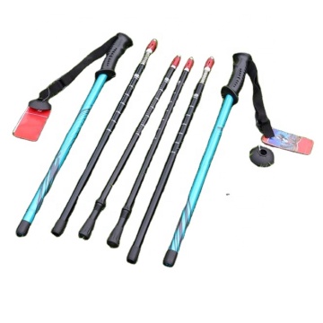 Telescopische anti-shock wandelstick voor wandelen en kamperen