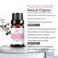 Óleo de massagem de aroma a granel Blum Blossom Óleo essencial para cuidados com a pele corporal