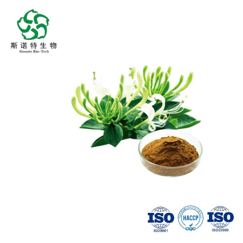 5%-98% Chlorogenic acid Honeysuckle Flower Extract