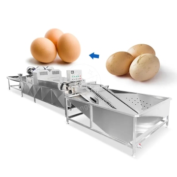 Industrial Dirty Egg Washing Machine/Mud Chicken Egg Washer Cleaner