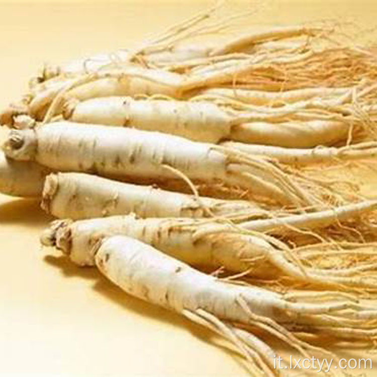 cibo per radici di tè al ginseng