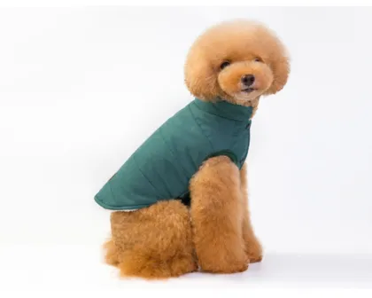 Warm pet dog jacket small for snow