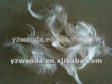 New white washed 4-6cm duck feather manufactory in China