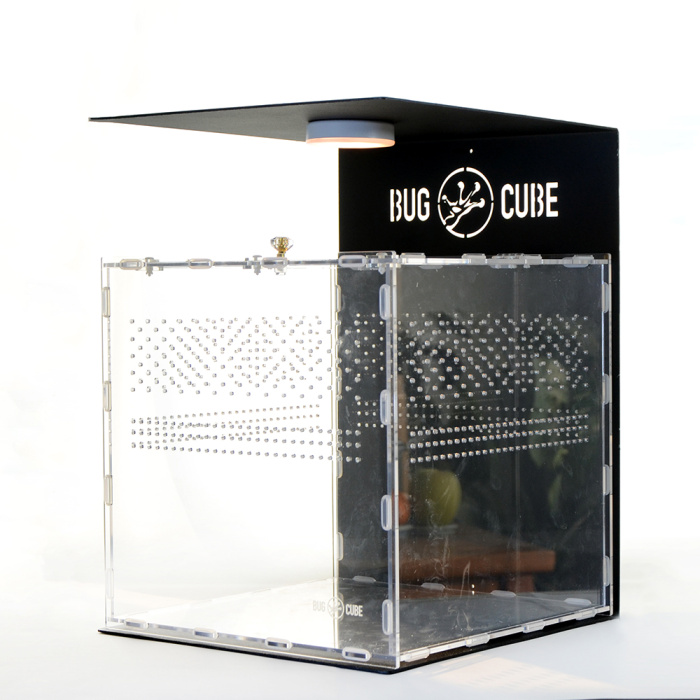 Caixa de criação de lagartos acrílicos de tamanho personalizável