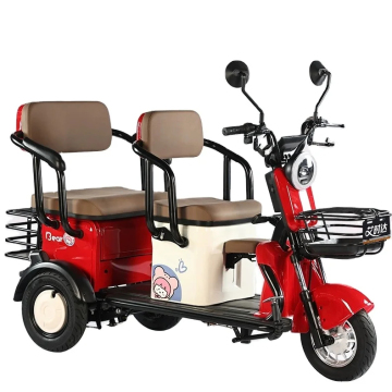 600W-1000W Electric Tricycle Scooter with Large Storage Space - New Energy Vehicle