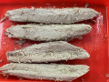 Longe de thon de bonito skipjack précuit surgelé pour la mise en conserve