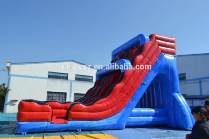High Quality Inflatable Water Slide, Jumbo Inflatable Slide, Inflatable Slide