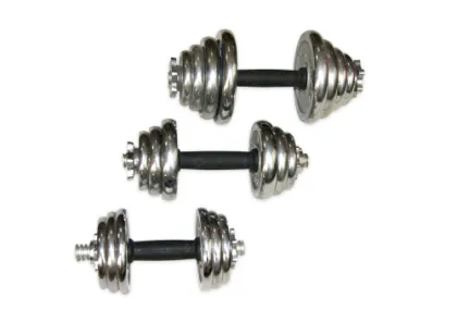 Stainless Steel Dumbbells