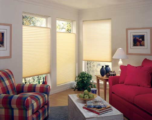 pleated window treatments