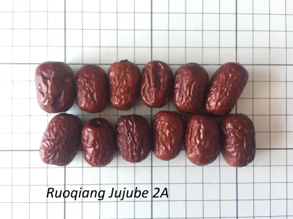 Chinese Origin Organic Red Dates