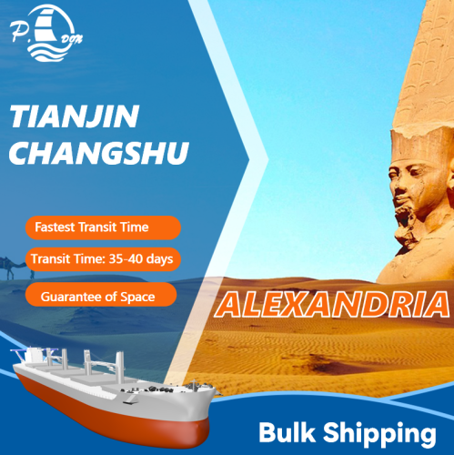 Bulkschifffahrt von Tianjin nach Alexandria