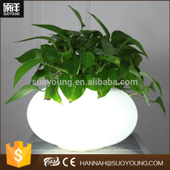 Modern newly fashionable gift design led lighted flower pot home decorative shop table lamp made in china