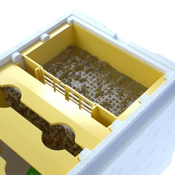 Direct Manufacturer Supply: Cross-Border Hot Beekeeping Tools and Royal Beekeeping Boxes