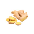 Extrait de racine de gingembre 3% de gingerols en poudre